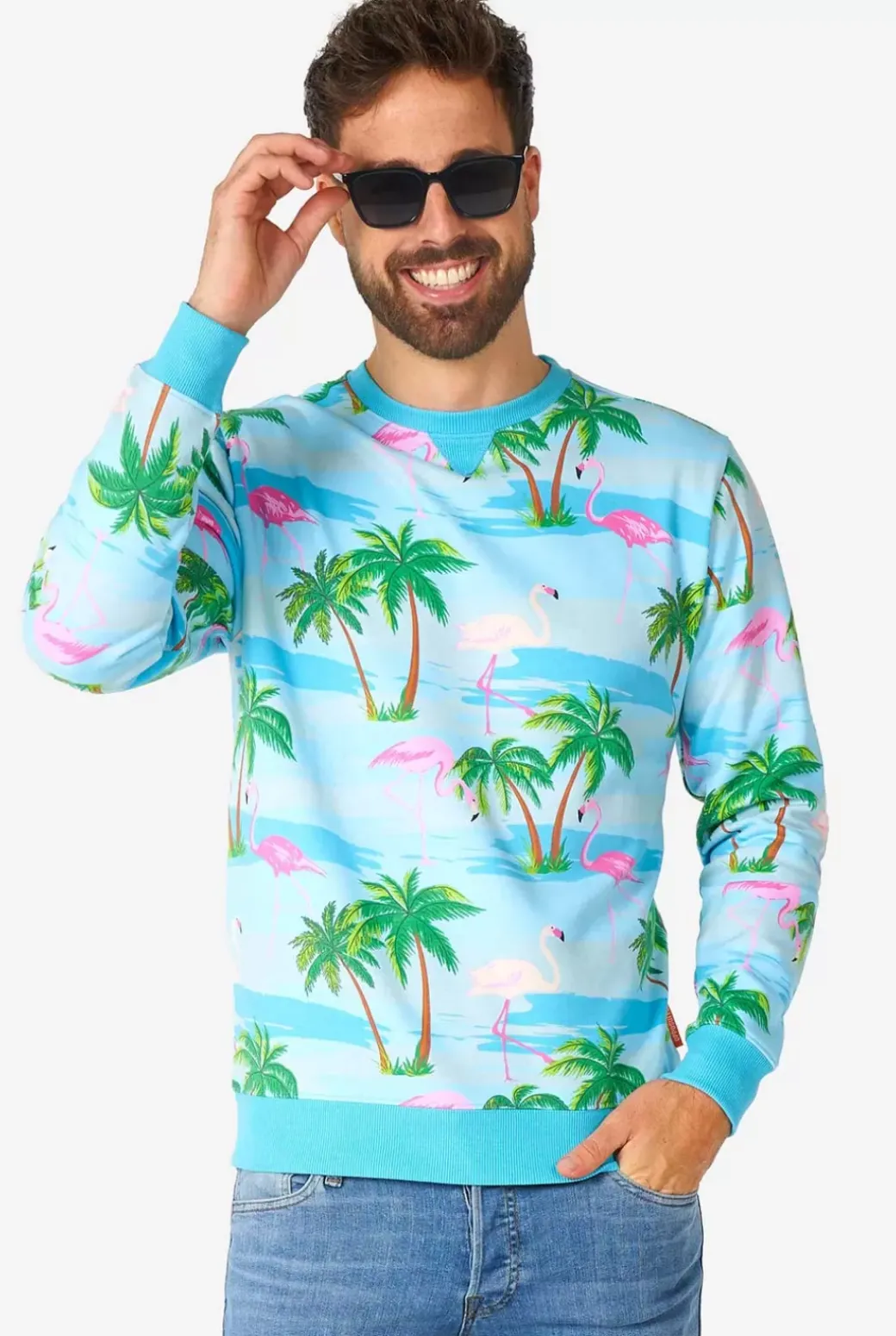 OppoSuits Flaminguy^Men Deluxe Sweaters